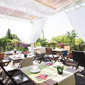 3* Bed and breakfast 7